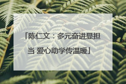 陈仁文：多元奋进显担当 爱心助学传温暖