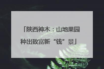 陕西神木：山地果园种出致富新“钱”景