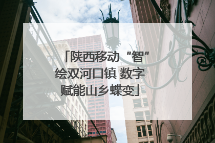 陕西移动“智”绘双河口镇 数字赋能山乡蝶变