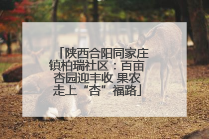 陕西合阳同家庄镇柏瑞社区：百亩杏园迎丰收 果农走上“杏”福路