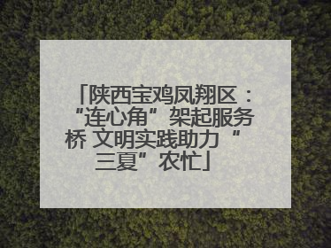陕西宝鸡凤翔区：“连心角”架起服务桥 文明实践助力“三夏”农忙