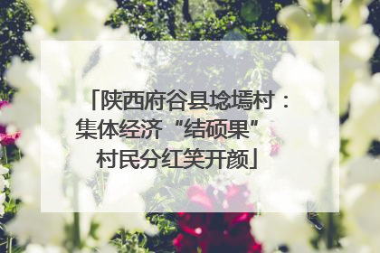 陕西府谷县埝墕村：集体经济“结硕果” 村民分红笑开颜