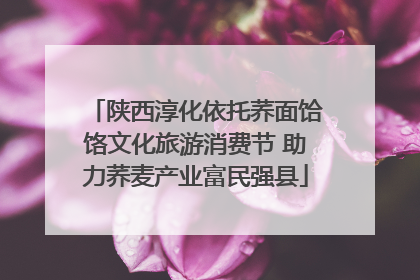 陕西淳化依托荞面饸饹文化旅游消费节 助力荞麦产业富民强县