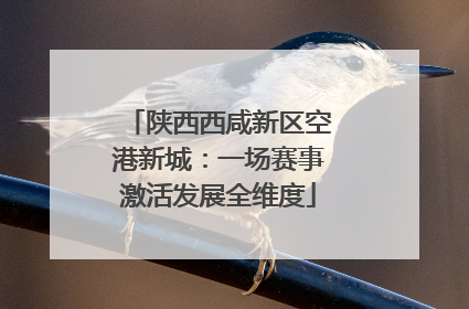 陕西西咸新区空港新城：一场赛事激活发展全维度