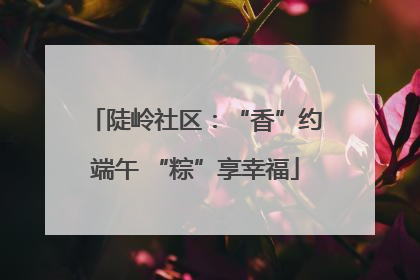 陡岭社区：“香”约端午 “粽”享幸福