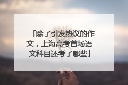 除了引发热议的作文，上海高考首场语文科目还考了哪些