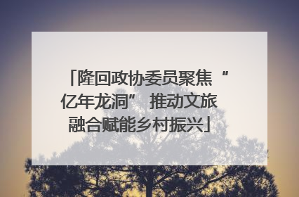 隆回政协委员聚焦“亿年龙洞” 推动文旅融合赋能乡村振兴