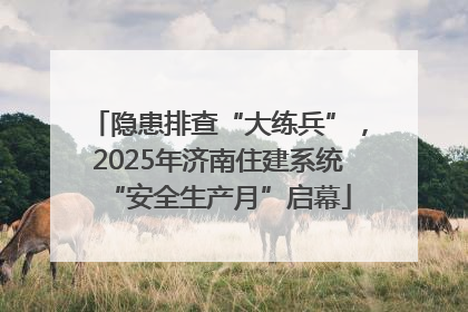 隐患排查“大练兵”，2025年济南住建系统“安全生产月”启幕