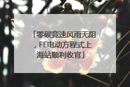 零碳竞速风雨无阻，FE电动方程式上海站顺利收官