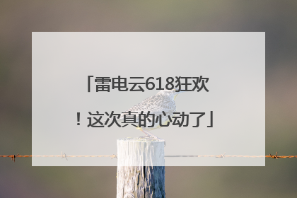 雷电云618狂欢！这次真的心动了