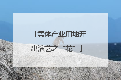 集体产业用地开出演艺之“花”