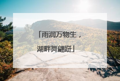 雨润万物生，湖畔舞翩跹
