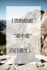 雪豹幼崽“凌小蛰”百日重生