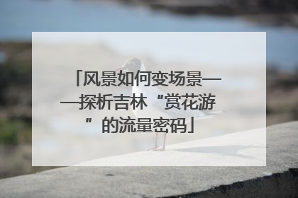 风景如何变场景——探析吉林“赏花游”的流量密码