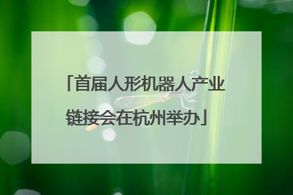 首届人形机器人产业链接会在杭州举办