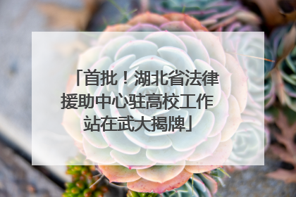 首批！湖北省法律援助中心驻高校工作站在武大揭牌