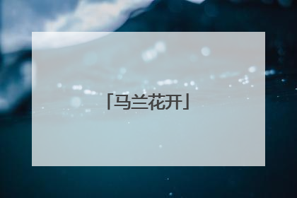 马兰花开