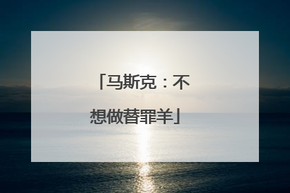 马斯克：不想做替罪羊