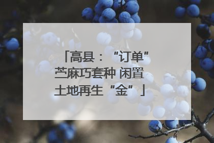 高县：“订单”苎麻巧套种 闲置土地再生“金”
