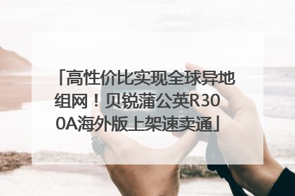 高性价比实现全球异地组网！贝锐蒲公英R300A海外版上架速卖通