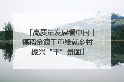 高质量发展看中国丨福稻金浪千重绘就乡村振兴“丰”景图