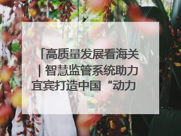 高质量发展看海关｜智慧监管系统助力宜宾打造中国“动力电池之都”