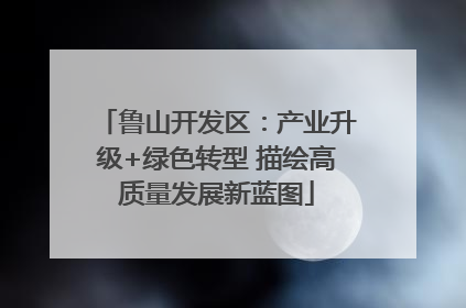 鲁山开发区：产业升级+绿色转型 描绘高质量发展新蓝图
