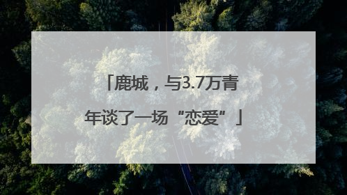 鹿城，与3.7万青年谈了一场“恋爱”