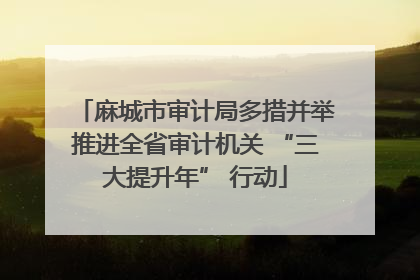 麻城市审计局多措并举推进全省审计机关 “三大提升年” 行动