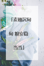 麦穗沉甸甸 粮安稳当当