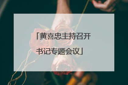 黄喜忠主持召开书记专题会议