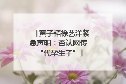 黄子韬徐艺洋紧急声明：否认网传 “代孕生子”