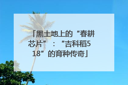 黑土地上的“春耕芯片”：“吉科稻518”的育种传奇