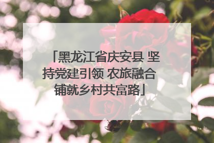 黑龙江省庆安县 坚持党建引领 农旅融合铺就乡村共富路