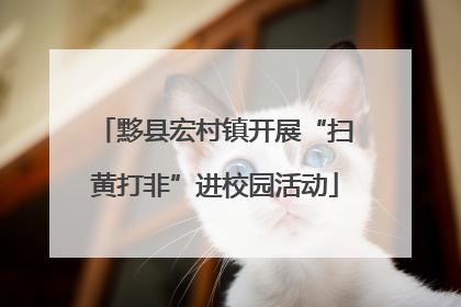 黟县宏村镇开展“扫黄打非”进校园活动