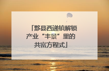 黟县西递镇解锁产业“丰景”里的共富方程式