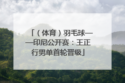 （体育）羽毛球——印尼公开赛：王正行男单首轮晋级
