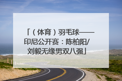 （体育）羽毛球——印尼公开赛：陈柏阳/刘毅无缘男双八强
