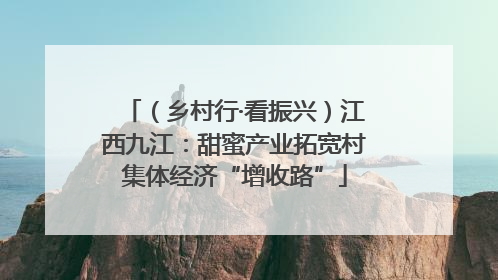 （乡村行·看振兴）江西九江：甜蜜产业拓宽村集体经济“增收路”