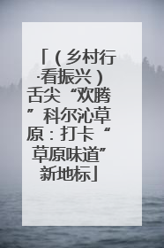 （乡村行·看振兴）舌尖“欢腾”科尔沁草原：打卡“草原味道”新地标