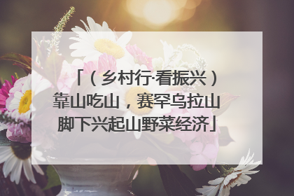 （乡村行·看振兴）靠山吃山，赛罕乌拉山脚下兴起山野菜经济