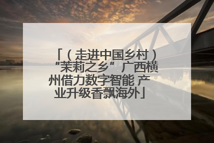 （走进中国乡村）“茉莉之乡”广西横州借力数字智能 产业升级香飘海外