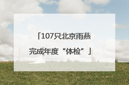107只北京雨燕完成年度“体检”