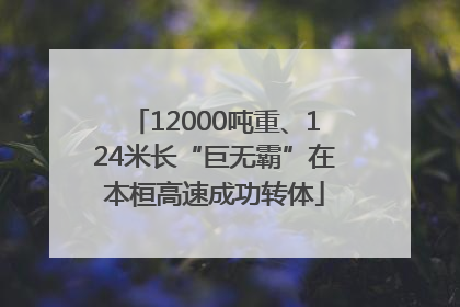12000吨重、124米长“巨无霸”在本桓高速成功转体