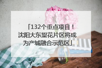132个重点项目！沈阳大东望花片区将成为产城融合示范区