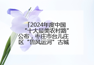2024年度中国“十大最美农村路”公布，枣庄市台儿庄区“鲁风运河”古城文化廊道上榜！
