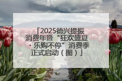 2025德兴提振消费年暨“狂欢盛夏・乐购不停”消费季正式启动（图）