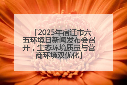 2025年宿迁市六五环境日新闻发布会召开，生态环境质量与营商环境双优化
