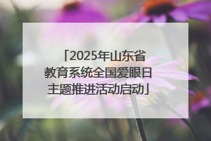 2025年山东省教育系统全国爱眼日主题推进活动启动