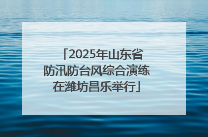 2025年山东省防汛防台风综合演练在潍坊昌乐举行
